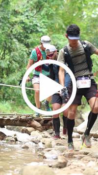 BIB:  <button type="button" onclick="openModal(26800762)" class="btn btn-primary btn-sm float-right" data-toggle="modal" data-target=".modal-high-quality">
                <i class="fa fa-download"></i> Download
                </button>